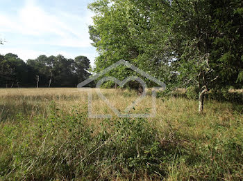 terrain à Cissac-Médoc (33)