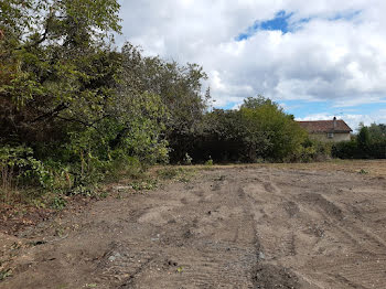 terrain à Cissac-Médoc (33)