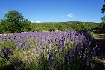 propriété à Banon (04)