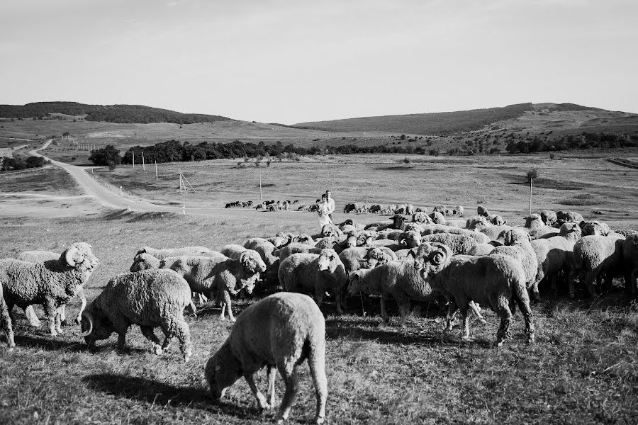 Bryllupsfotograf Evgeniy Mashaev (mashaev). Bilde av 22 august 2017