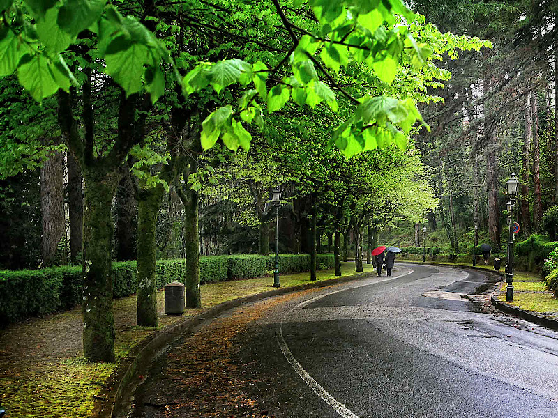 Il viale di Fiorenza Aldo Photo