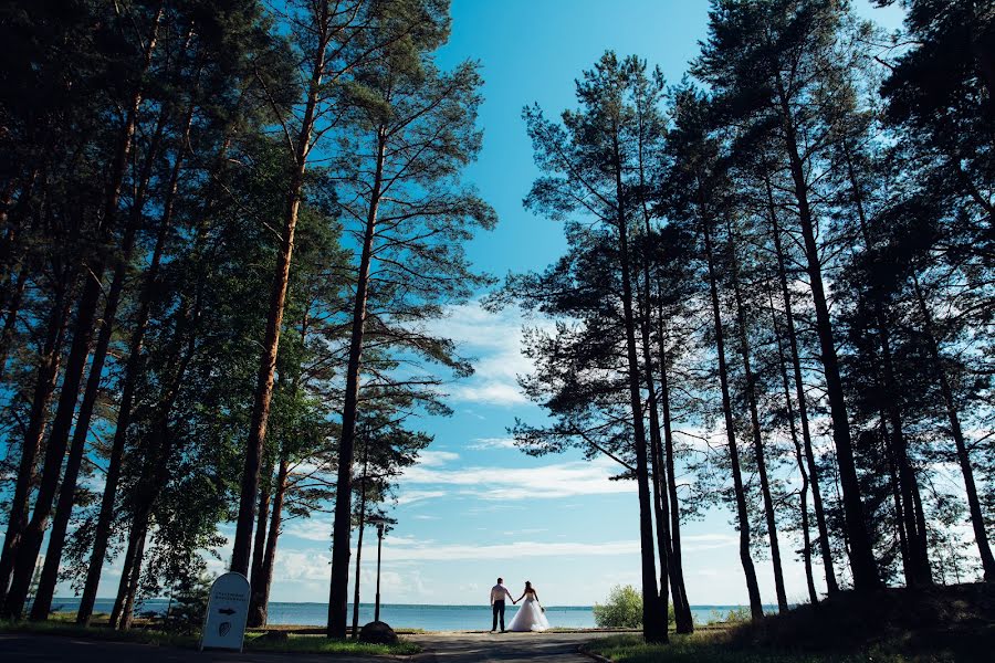 Wedding photographer Sergey Uglov (serjuglov). Photo of 17 January 2019