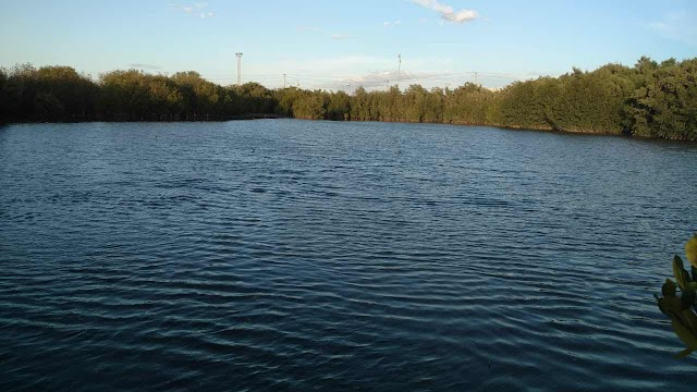 Lagunas de Manzanillo siguen con vida, director de desarrollo fronterizo interviene con equipo de dragado   