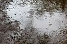 「雨の日の公園」のメインビジュアル