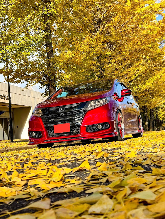オデッセイのclub.M・栃木県遠征・とある大学のイチョウ・イチョウの絨毯・2024ベストショット11月に関するカスタム事例の投稿画像4枚目