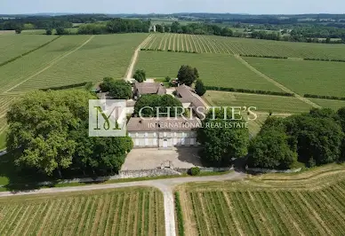 Vineyard with outbuildings 7