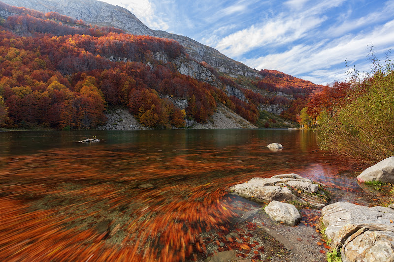 Foglie d'autunno nella corrente di Bitop62