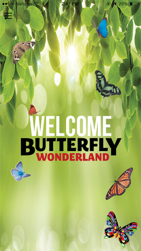 Butterfly Wonderland