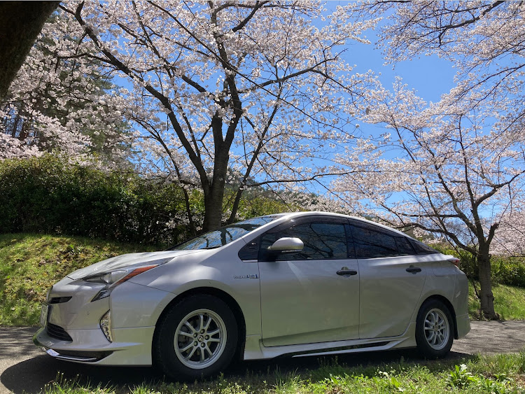 プリウスの何時もいいねコメントありがとうございます😊・まだスタッドレス（笑）・畑侵入、桃花コラボ・高校桜コラボ・日産ディズに関するカスタム事例の投稿画像9枚目