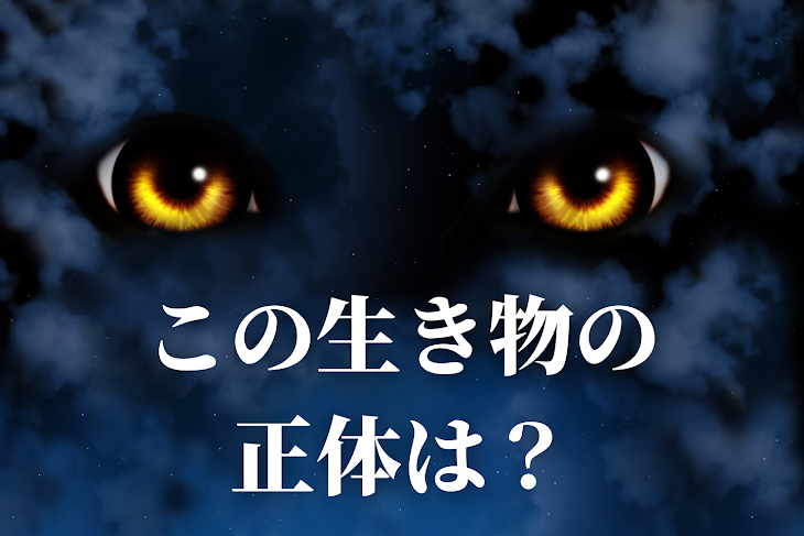 「連れてきちゃったの」のメインビジュアル