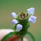 Self-Heal