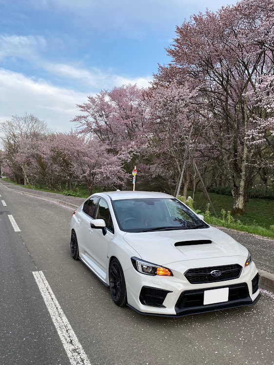 WRX S4のGW・仕事帰り・桜と愛車・5月もよろしくお願いしますに関するカスタム事例の投稿画像1枚目
