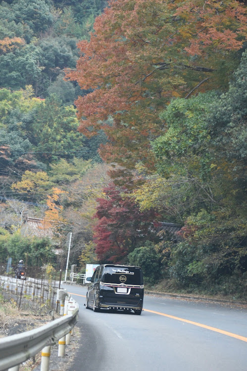ヴォクシーの松ちゃん号・耶馬溪はやばい🍁・青の洞門・マロンソフト🍦・コイ　デカいに関するカスタム事例の投稿画像11枚目