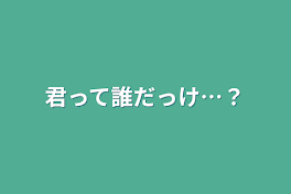 君って誰だっけ…？