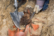 One of the workers repairing a water pipe died after the pipe burst, flooding a trench in Despatch.