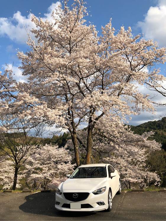 の投稿画像1枚目