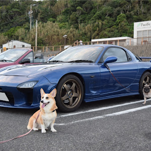 RX-7 FD3S 後期