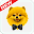 Cute Pomeranian Dog Wallpapers Download on Windows