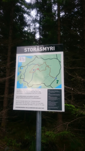 Storåsmyri