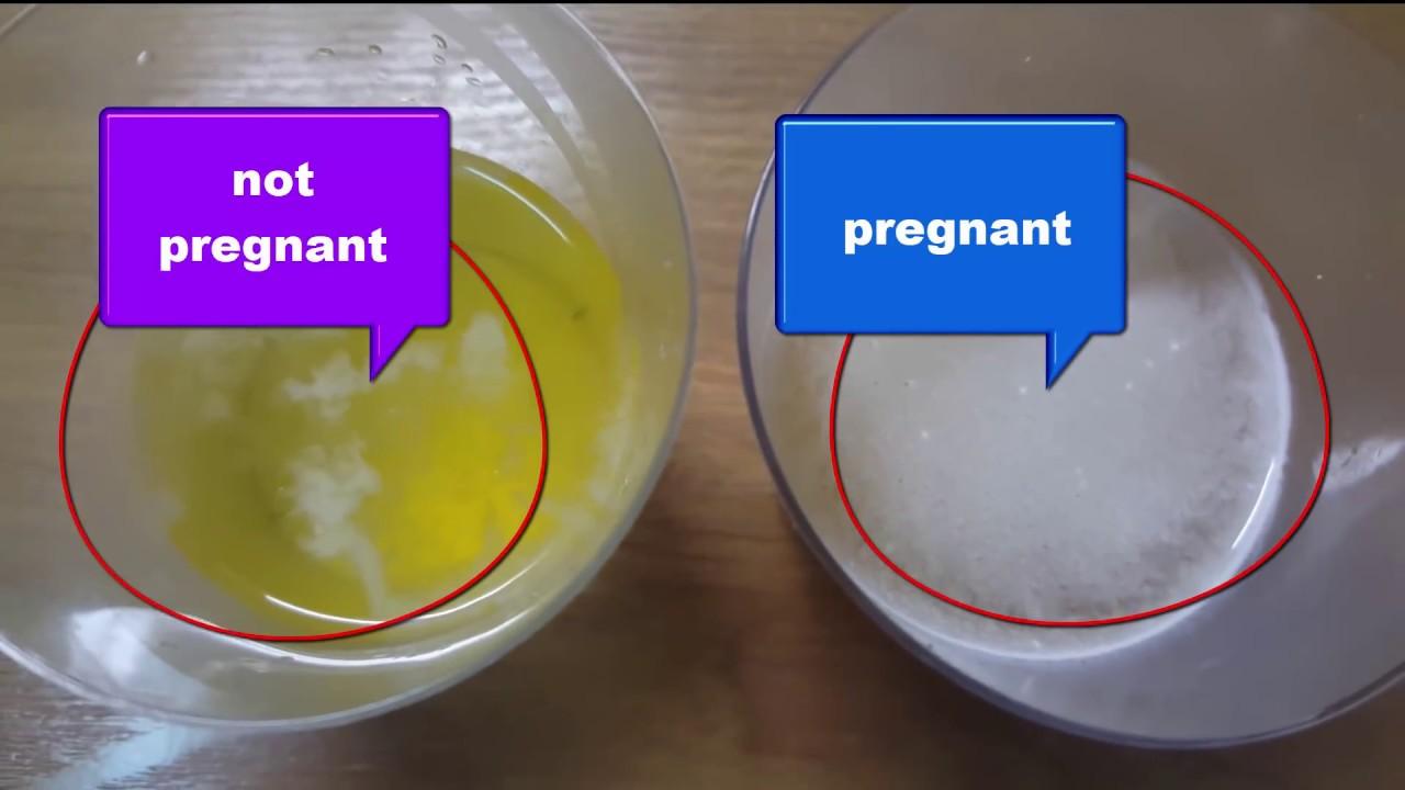 a homemade pregnancy test with salt - YouTube