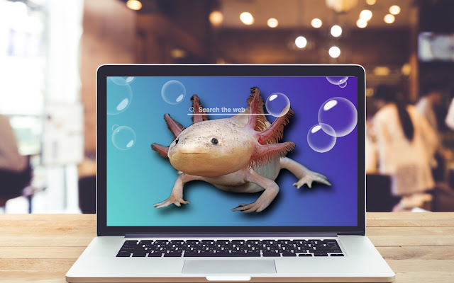 Axolotl HD Wallpapers Fish Theme