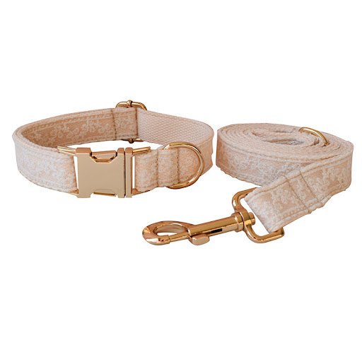 Title 4, Pet collar with bow, metal buckle, and lace. St...