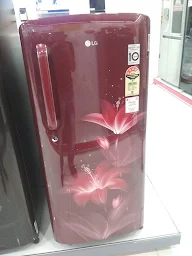 LG Electronics photo 2