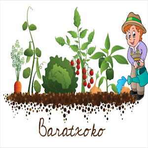 Download Baratxoko For PC Windows and Mac