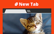 Kitten. New tab small promo image