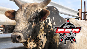 PBR Bull Riding thumbnail