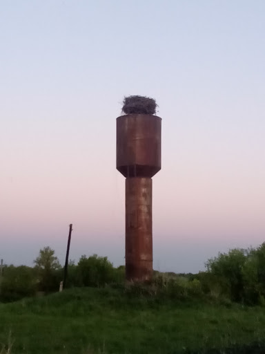 Водонапорная башня с гнездом