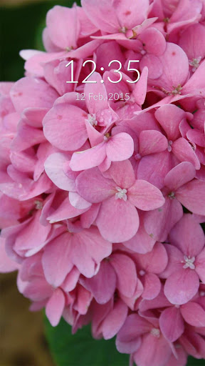 Pink Flowers Wall Lock