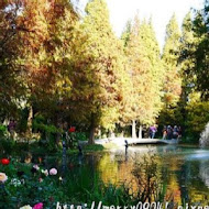 菁芳園 Tenway Garden／花園餐廳／落羽松