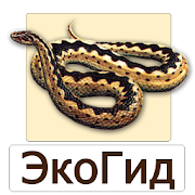 EcoGuide: Russian Reptiles Mod