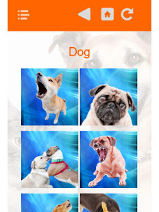 Dog Cat Animal Sounds(圖2)-速報App
