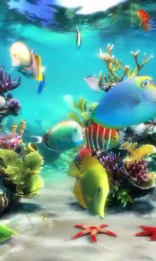 Aquarium 3 live wallpaper