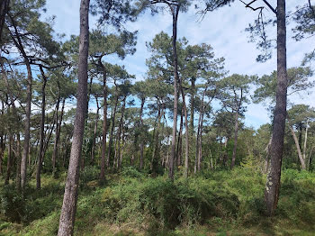 terrain à batir à Capbreton (40)