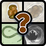 Cover Image of Unduh Parasitology Quiz 7.4.3z APK