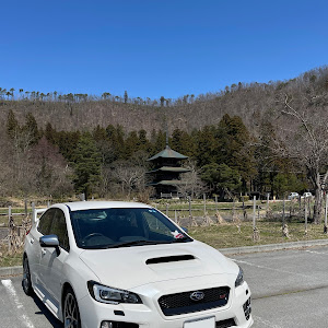 WRX STI VAB