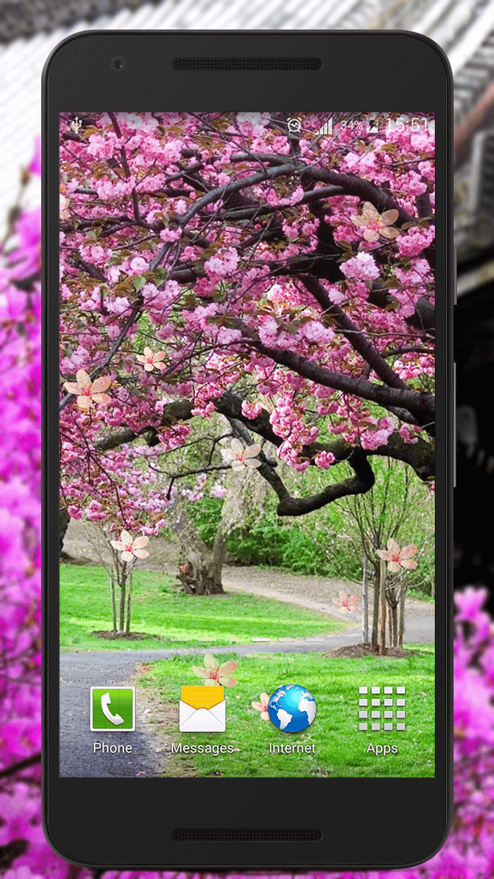 Sakura Live Wallpaper HD Screen 2