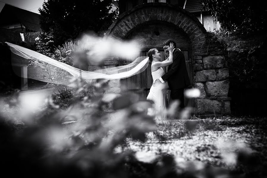 Wedding photographer Melinda Guerini (temesi). Photo of 20 September 2015