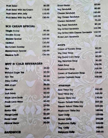 Sheetal Udupi menu 