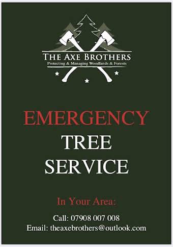 Emergency Tree Service album cover