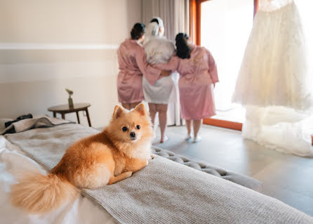 Photographe de mariage Carlos Medina (carlosmedina). Photo du 10 octobre 2023