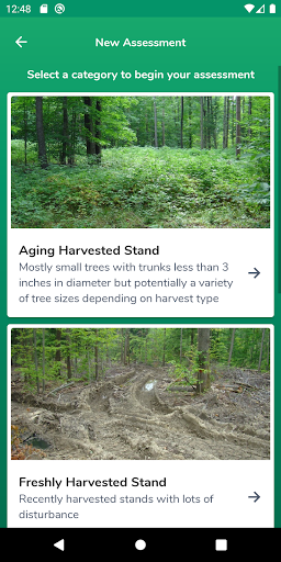 Screenshot HealthyWoods