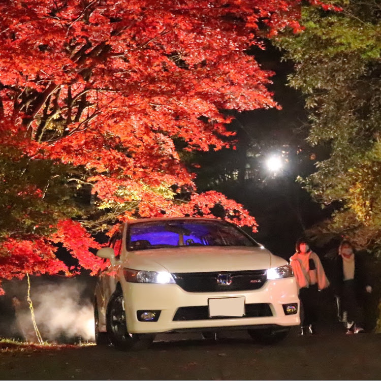 ストリームの紅葉・2020ベストショットに関するカスタム事例の投稿画像1枚目