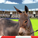 Jumping Donkeys Champions-Donk