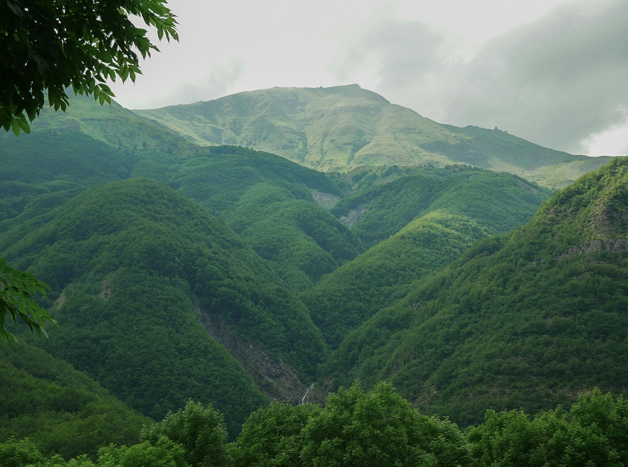 L'amore nella natura di Inart