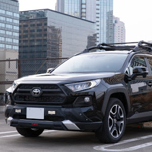 RAV4 MXAA54