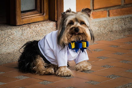 Hochzeitsfotograf Flavio Roberto (flavioroberto). Foto vom 15. Januar 2020